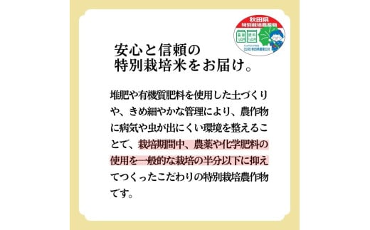 新米 米 お米 【白米】特別栽培米 あきたこまち 5kg 秋田県産 令和6年産