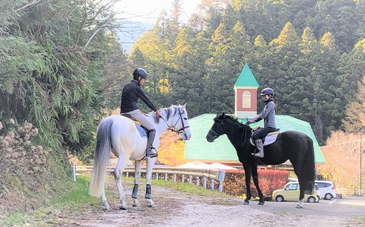 動物ふれあい＆乗馬体験 『わくわくコース』約30分 1名　CC-2 徳島 那賀 体験 乗馬 乗馬体験 チケット トラベル ふれあい 動物とふれあい 自然 アウトドア レジャー 景品 1名様 1枚 思い出 【体験チケット】 