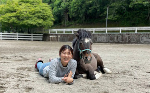 動物ふれあい＆乗馬体験 『わくわくコース』約30分 1名　CC-2 徳島 那賀 体験 乗馬 乗馬体験 チケット トラベル ふれあい 動物とふれあい 自然 アウトドア レジャー 景品 1名様 1枚 思い出 【体験チケット】 