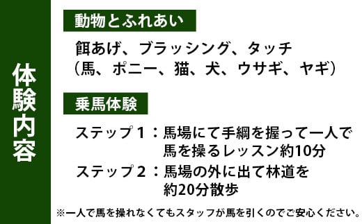 動物ふれあい＆乗馬体験 『わくわくコース』約30分 1名　CC-2 徳島 那賀 体験 乗馬 乗馬体験 チケット トラベル ふれあい 動物とふれあい 自然 アウトドア レジャー 景品 1名様 1枚 思い出 【体験チケット】 