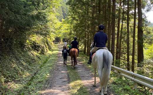 動物ふれあい＆乗馬体験 『わくわくコース』約30分 1名　CC-2 徳島 那賀 体験 乗馬 乗馬体験 チケット トラベル ふれあい 動物とふれあい 自然 アウトドア レジャー 景品 1名様 1枚 思い出 【体験チケット】 