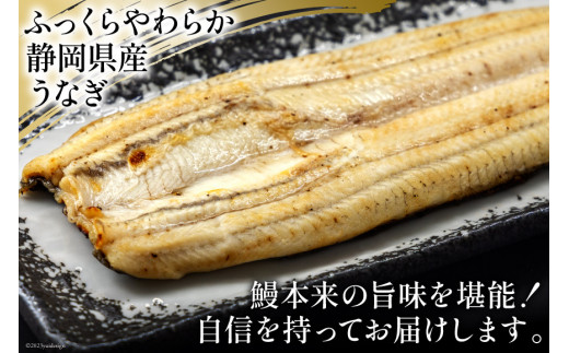 うなぎ 国産 静岡 うなぎ白焼 4尾 セット 140g×4 計約560g [静岡鰻販売 静岡県 吉田町 22424177] 鰻 ウナギ 白焼 白焼き 真空パック 蒲焼 惣菜 おかず 静岡県産 冷凍