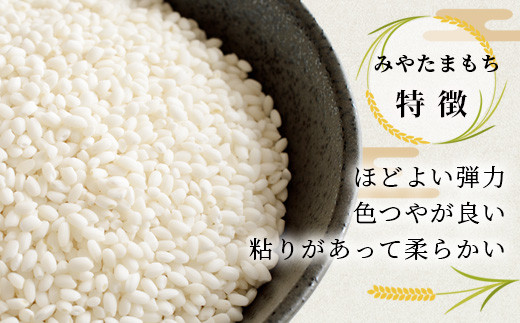 那賀町相生産 みやたまもち 白米 5kg 1袋【徳島 那賀 国産 徳島県産 ミヤタマモチ お米 こめ おこめ 餅米 もち米 お餅 モチ米 米 白米 5キロ 餅 お正月 おはぎ 赤飯 おこわ ちまき 多用途 おいしい 食べて応援 お取り寄せ 産地直送】YS-42