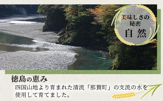 那賀町相生産 みやたまもち 白米 5kg 1袋【徳島 那賀 国産 徳島県産 ミヤタマモチ お米 こめ おこめ 餅米 もち米 お餅 モチ米 米 白米 5キロ 餅 お正月 おはぎ 赤飯 おこわ ちまき 多用途 おいしい 食べて応援 お取り寄せ 産地直送】YS-42