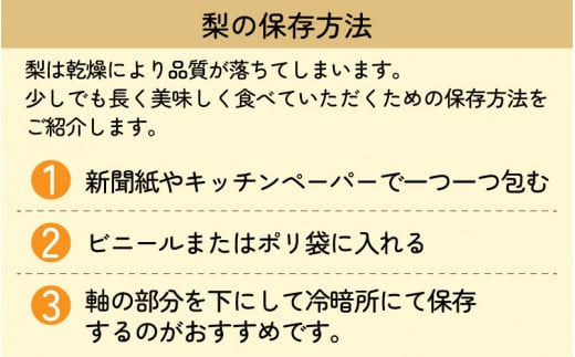 【先行予約】女子力高めの梨農家姉妹がおくる！ 近ちゃん梨  3kg（3L～5L） 6～8玉入り 【2025年8月中旬～9月下旬発送予定】【梨 なし フルーツ 甘い みずみずしい 果実 果物 新鮮 旬の果物】 [A-6318]