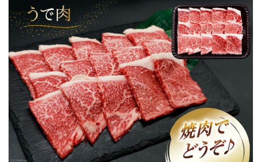 肉 牛肉 宮崎牛 牛うで肉 焼肉用 400g [牛心フードサービス 宮崎県 美郷町 31bm0019] 冷凍 焼肉 ブランド牛 ウデ ウデ肉 うで うで肉 ブランド牛