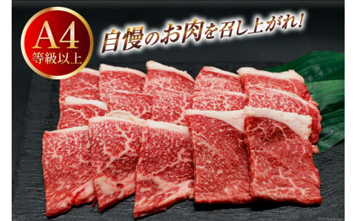 肉 牛肉 宮崎牛 牛うで肉 焼肉用 400g [牛心フードサービス 宮崎県 美郷町 31bm0019] 冷凍 焼肉 ブランド牛 ウデ ウデ肉 うで うで肉 ブランド牛