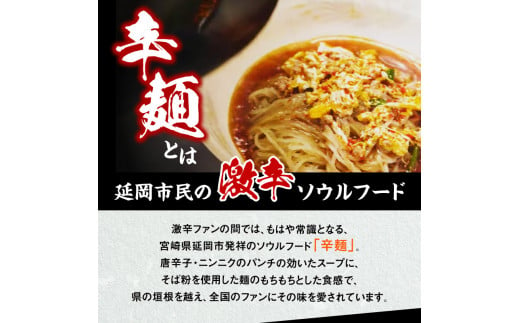 冷凍辛麺Cセット N040-YC225