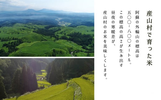 【令和6年産新米定期便3回】うぶまい(コシヒカリ　玄米)8kg〈阿蘇の名水　池山水源米〉