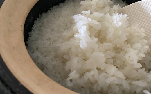 青野山の湧水と朝晩の寒暖差が育んだ棚田の甘～い米「コシヒカリ」(白米5kg×2袋)(令和6年度産)【1524992】