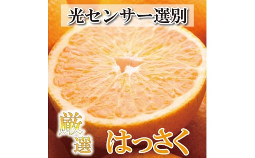 ＜4月より発送＞厳選 樹上完熟はっさく4kg+120g（傷み補償分）【八朔】【さつき・木成】