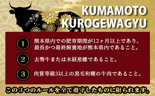 絶品! 熊本県産 黒毛和牛 ローストビーフ 500g 