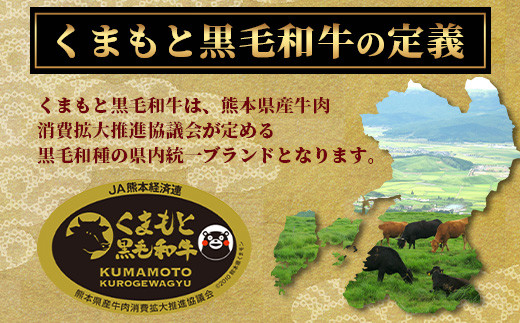 絶品! 熊本県産 黒毛和牛 ローストビーフ 500g 