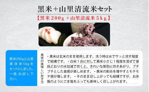 こめ コメ お米《令和6年産新米先行予約！》黒米＋山里清流米セット（黒米200g＋山里清流米こしひかり5kg）