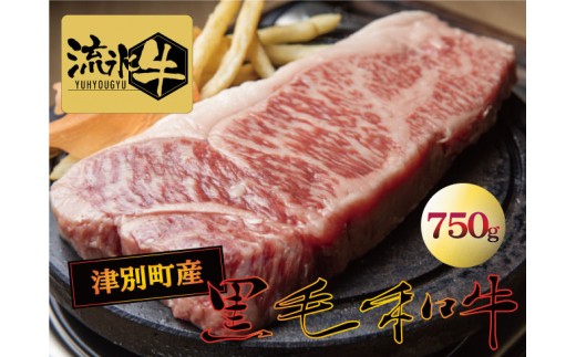 流氷牛ステーキ肉　750g　（250g×3　サーロイン）/035-31129-a01F　【　肉　にく　牛肉　牛にく　和牛　黒毛　黒毛和牛　ブランド牛　ステーキ　鉄板焼き　北海道　産地直送　津別町　オホーツク　道東　ふるさと納税　人気　ランキング　】