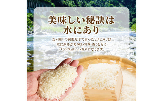 大迫力のむかばき山のふもとにある田んぼで宮崎の太陽の光をいっぱいに浴びて育ちました！