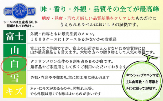 【3か月定期便】クラウンメロン【並(白等級)】小玉(1.1kg前後)6玉入り