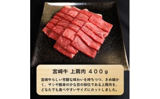 《内閣総理大臣賞受賞》大満足焼肉Tセット「宮崎牛モモ肉と上肩肉＆国産鶏モモ 合計1,300g」 [A5ランク A4等級 赤身肉 テリヤキ 照り焼き 鶏肉 『返礼品特集20000円以下』-宮崎県高原町 TF0578-P00012