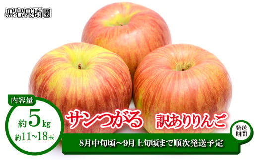 [No.5657-2601]サンつがる 訳ありりんご 約5kg (約11～18玉)《黒岩果樹園》■2024年発送■※8月中旬頃～9月上旬頃まで順次発送予定