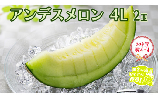 【 お中元 熨斗付】 アンデスメロン 4L×2個 【令和6年7月より発送開始】 田舎の頑固おやじが厳選！ メロン お中元 ギフト 高糖度 大玉 甘い 美味しい フルーツ