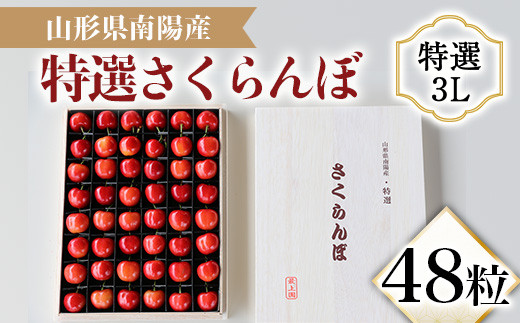 【令和6年産先行予約】 さくらんぼ 48粒 (特選 3L大玉 木箱入り) 《令和6年6月下旬～発送》 『最上園』 サクランボ ギフト 贈答 果物 フルーツ 産地直送 山形県 南陽市 [1333]