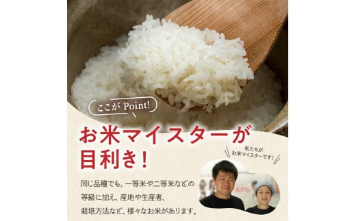 《 新米 》【 3ヶ月定期便 / 令和6年産 新米 】 雪若丸 計 10kg /月 ( 1回配送 5kg × 2袋 ) ブランド米 2024年産 おうちごはん応援米 精米 米 白米 お米マイスター 山形県 米沢市 送料無料