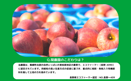 りんご シナノスイート 訳あり 10kg 関農園 沖縄県への配送不可 2024年10月上旬頃から2024年11月上旬頃まで順次発送予定 エコファーマー認定 令和6年度収穫分 傷 不揃い リンゴ 林檎 果物 フルーツ 信州 長野 17500円 予約 農家直送 長野県 飯綱町 [1091]