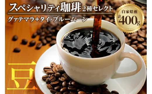 【スペシャリティ珈琲豆】グァテマラ+タイ・ブルームーン ／ コーヒー コーヒー豆 焙煎 ブレンド 愛知県