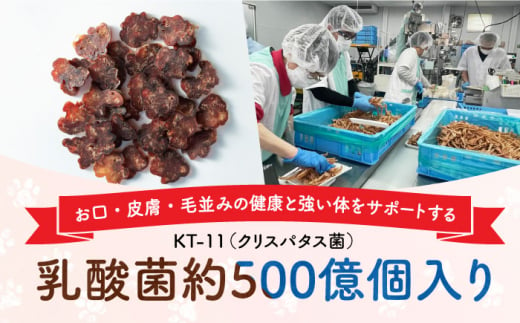 Softbits 【しか肉/馬肉/イノシシ肉】 アソート（40g×6P）長崎県/株式会社サポート [42AEAE001] 肉 ソフトビッツ ドッグ フード 犬 いぬ イヌ おやつ ペット 乳酸菌 国産 シニア 幼犬 小分け 老犬 小型犬 中型犬 大型犬 ドック 安心 トイプードル チワワ 柴犬 ミニチュアダックス ポメラニアン ミニチュアシュナウザー  犬のおやつ 乾燥 鹿 うま 猪 いのしし