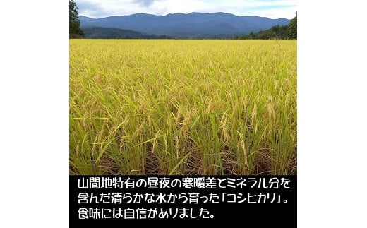 減農薬コシヒカリ「SNOW RICE」玄米5kg（令和6年産）