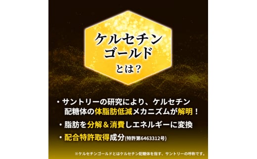 定期便 2ヵ月 伊右衛門 特茶TOKUCHA ジャスミン（特定保健用食品）500mlペット 2箱 48本