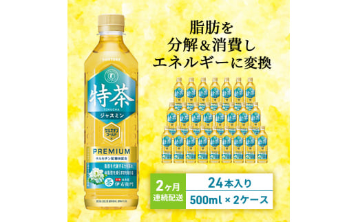 定期便 2ヵ月 伊右衛門 特茶TOKUCHA ジャスミン（特定保健用食品）500mlペット 2箱 48本