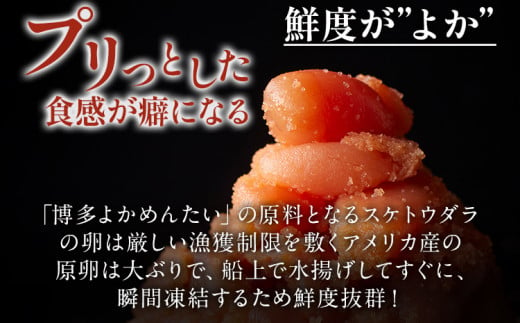 【訳あり・無冷凍・無着色】生 辛子明太子（切れ子） 博多よかめんたい 1.2kg (200g×6) 明太子 訳あり 家庭用 切子 小切れ めんたいこ ご飯のお供 おかず 惣菜 魚介 海鮮 九州 福岡 博多 お取り寄せ グルメ 冷蔵 送料無料