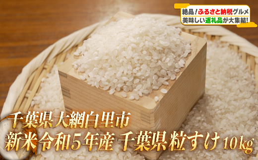 【新米】令和6年産 千葉県産「粒すけ」15kg（5kg×3袋） お米 15kg 千葉県産 大網白里市 粒すけ 米 精米 こめ 送料無料 A042