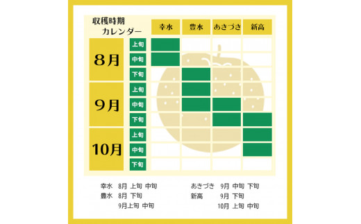 【先行予約】【栃木県共通返礼品】 新高 5㎏ 12～18玉 | 梨 フルーツ 果物 栃木県 特産品