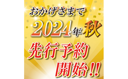 【先行予約】【栃木県共通返礼品】 新高 5㎏ 12～18玉 | 梨 フルーツ 果物 栃木県 特産品