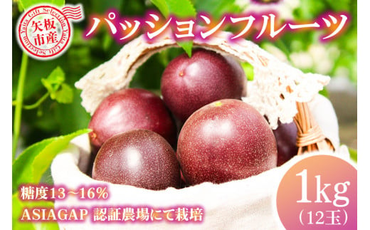 [数量限定／期間限定] 栃木県産パッションフルーツ1kg 南国の香りはじける極上フルーツ！｜先行予約 フルーツ 果物 果実 トロピカルフルーツ スイーツ 国産 [0444]