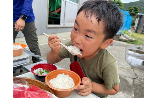 【先行予約】令和6年産 新米 コシヒカリ精米5kg（1袋）3回定期便 白米 お米 ご飯 米 こめ コシヒカリ こしひかり 高知県産 5キロ 故郷納税 返礼品 高知 土佐清水市 【J00128】