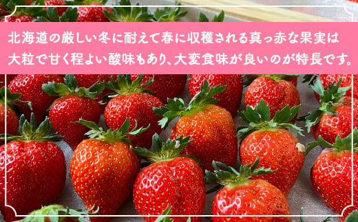 【北海道内限定配送】いちご「けんたろう」250g×4パック 【ふるさと納税 人気 おすすめ ランキング 果物 いちごイチゴ 苺 国産いちご 国産苺 けんたろう セット おいしい 美味しい 甘い 北海道 豊浦町 送料無料】 TYUAC004