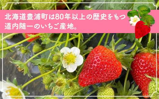 【北海道内限定配送】いちご「けんたろう」250g×4パック 【ふるさと納税 人気 おすすめ ランキング 果物 いちごイチゴ 苺 国産いちご 国産苺 けんたろう セット おいしい 美味しい 甘い 北海道 豊浦町 送料無料】 TYUAC004