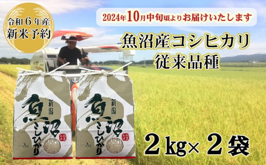 N10P132 【令和6年産 新米予約】昔ながらの魚沼産コシヒカリ2kg×2袋【従来品種】 農園ビギン 早期受付 2024年10月中旬から発送開始