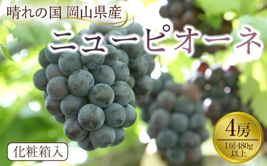 ぶどう 2025年先行予約 岡山県産 ニューピオーネ4房(1房480g以上)