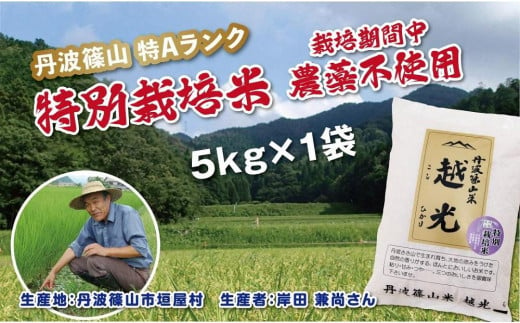 令和６年産　丹波篠山産　特別栽培米　越光（農薬不使用）（5ｋｇ×1袋）