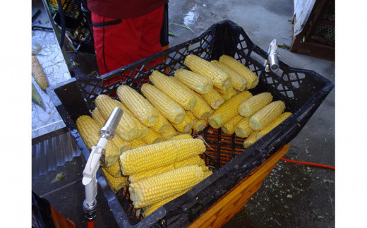 コーントル皮ネード（トウモロコシの皮むき機）CTN-2_05205