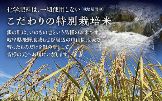 【2024年産米】銀の朏【定期便】5kg×3回 ≪テレビで紹介!!幻の米≫ 皇室献上米 化学肥料不使用 いのちの壱 精米 お米 5キロ×3か月 （計 15キロ）定期 毎月 令和6年産 銀のみかづき ぎんのみかづき （隔月 や 配送月が選べる）