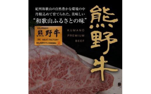 熊野牛 リブロース 焼肉用 500g【MT21】