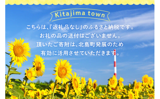 【返礼品なし】徳島県北島町への応援寄附 1口 2,000円 [北島町役場 徳島県 北島町 29ba0004] 寄附 寄付 応援 純粋寄附 寄附のみ 寄付のみ 返礼品なし 支援