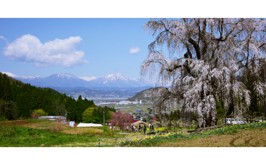 信州高山村産りんごジュース 4本セット 3種【1393006】