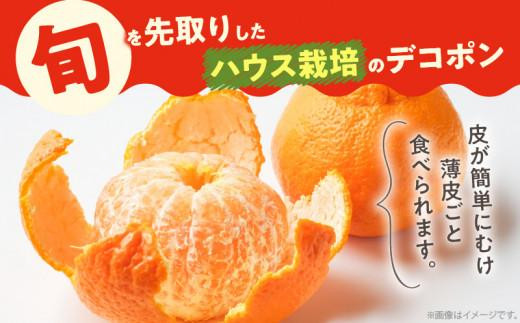 高松産季節の果物＜ハウスデコポン＞約2.8kg【2024年12月中旬～2025年3月中旬配送】