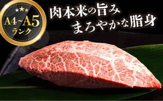 【厳選希少部位】【A4～A5】長崎和牛ミスジステーキ　約1kg（100g×10p）【株式会社 MEAT PLUS】 [DBS031]